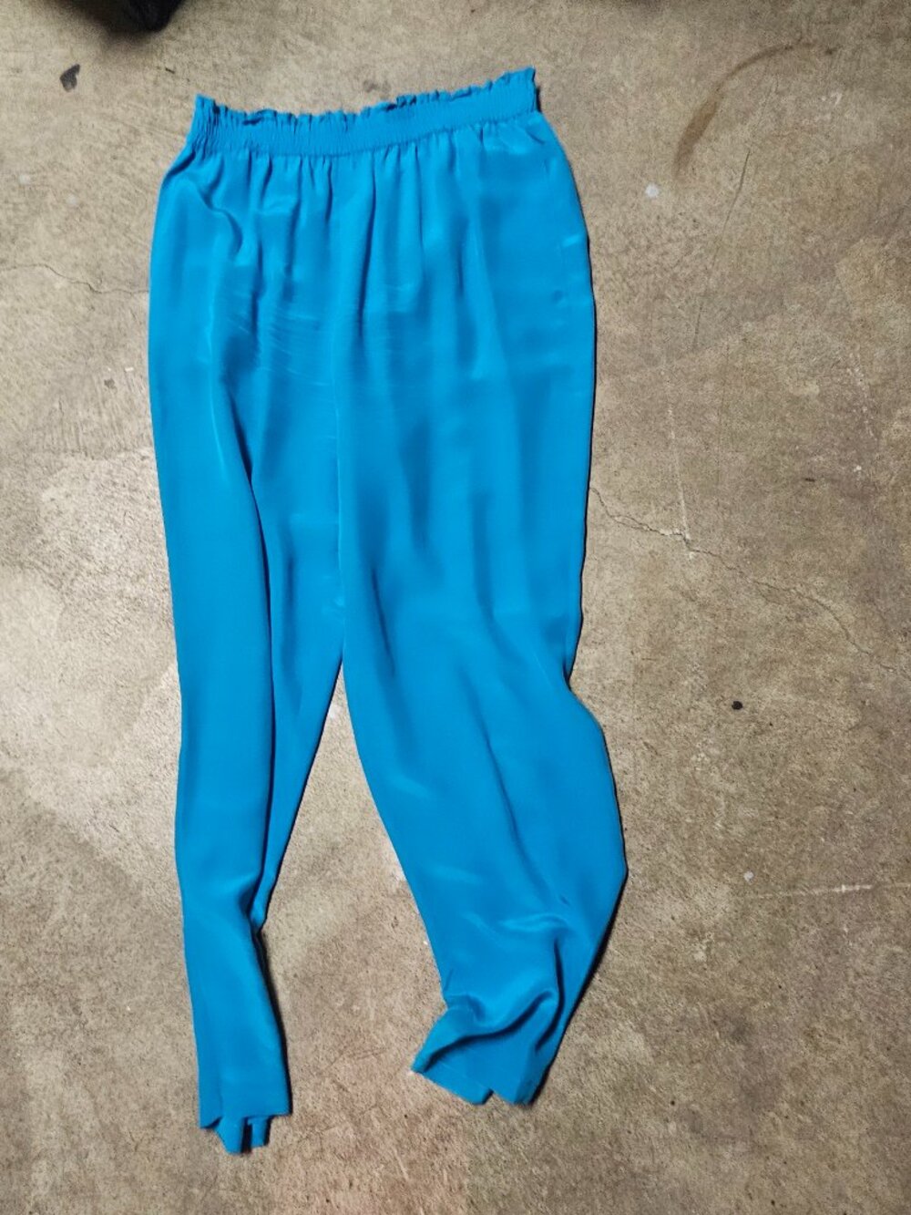 Diane Gilman Silk Blue Pants - Large